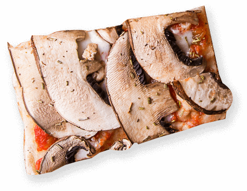 slice6